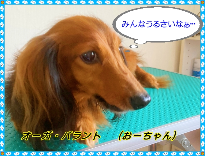 IMG_2097 (1).JPEG - 288,181BYTES